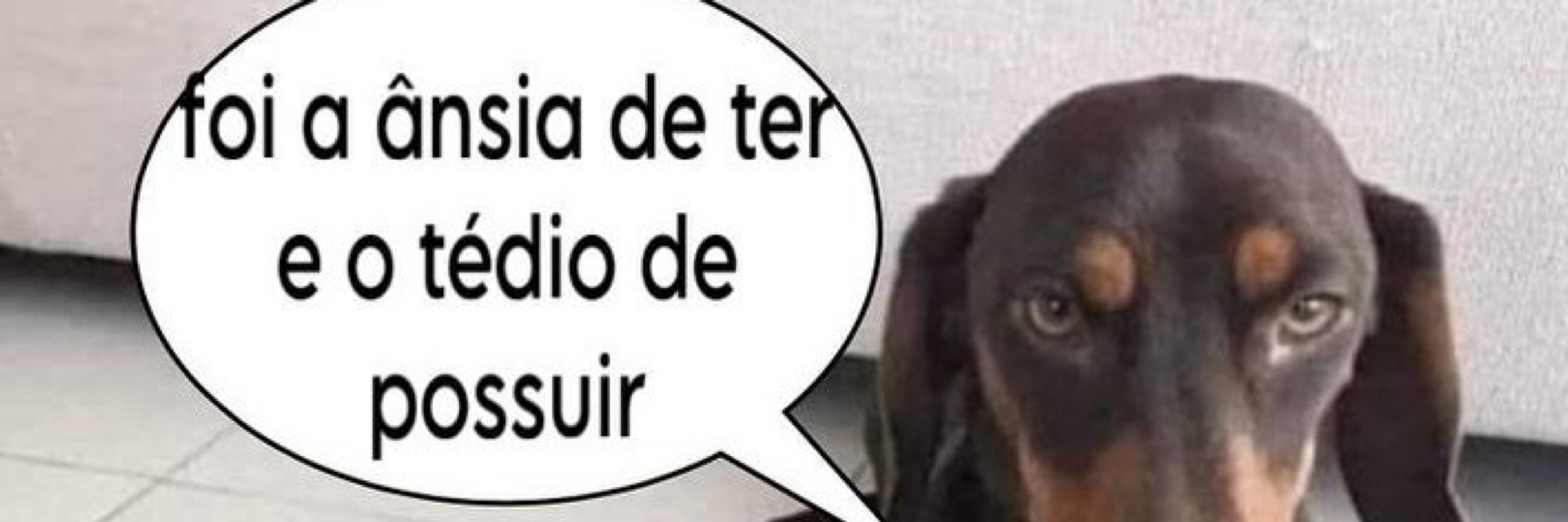 Fernando Ribeiro