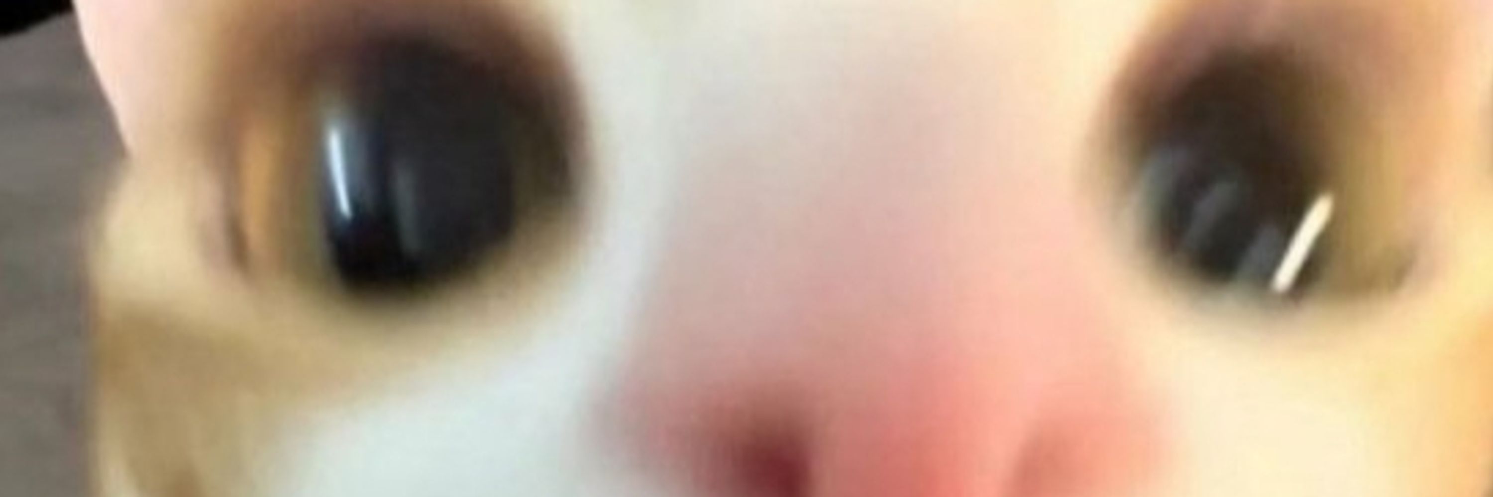 Oli:3