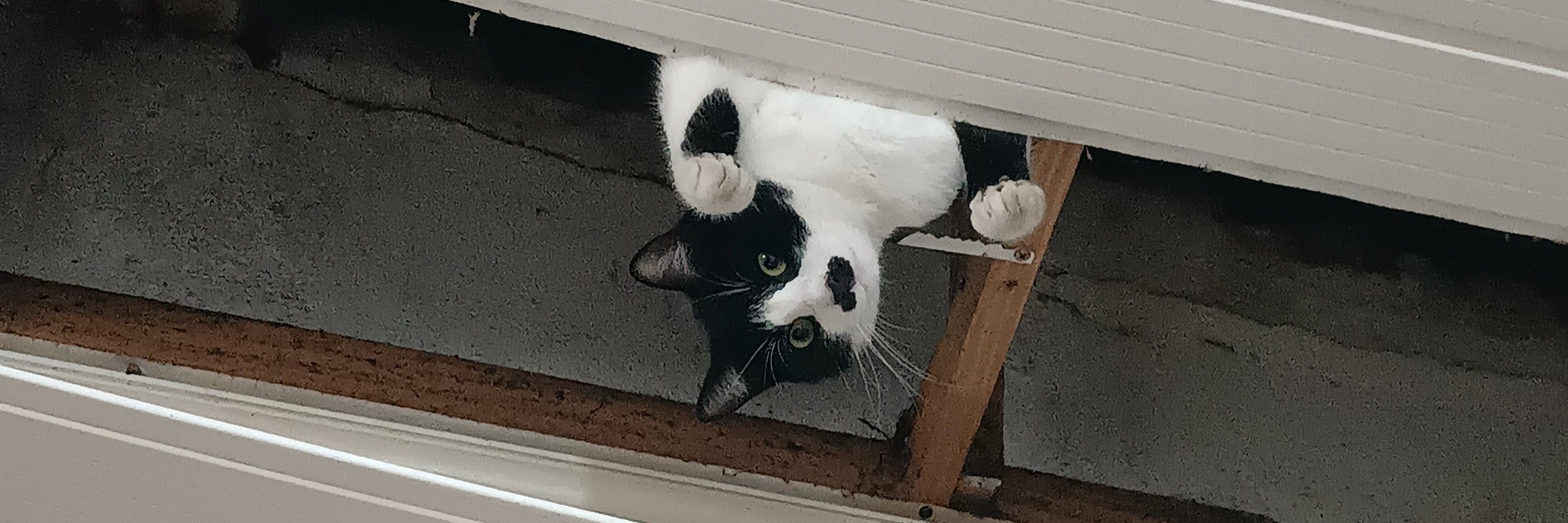 Arth🕷️🕸️
