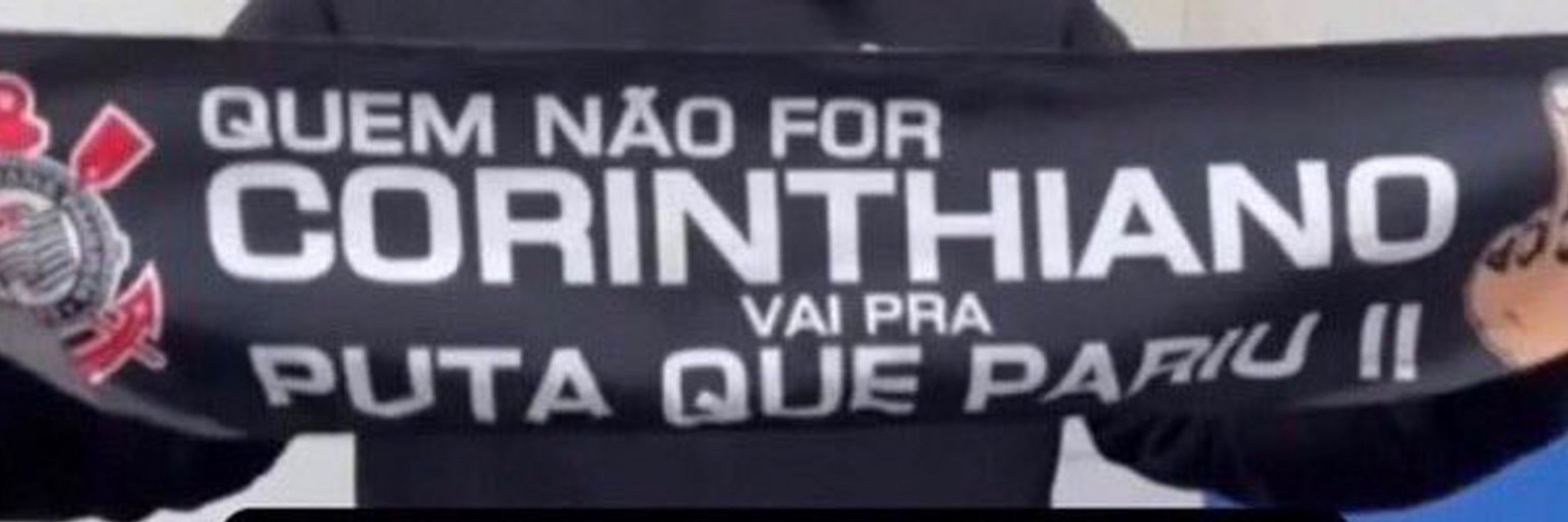 mosca fã da gaga