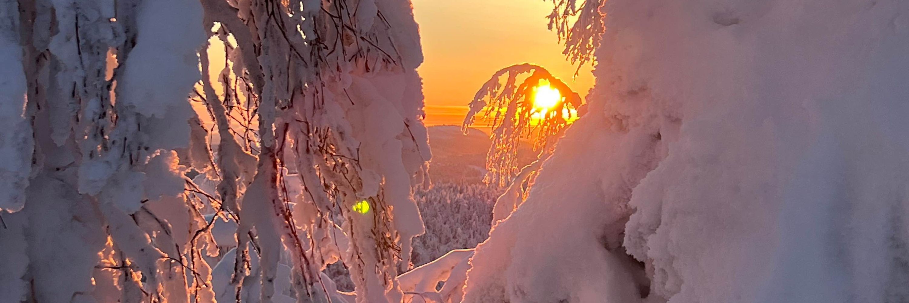 Susanna Sääskilahti