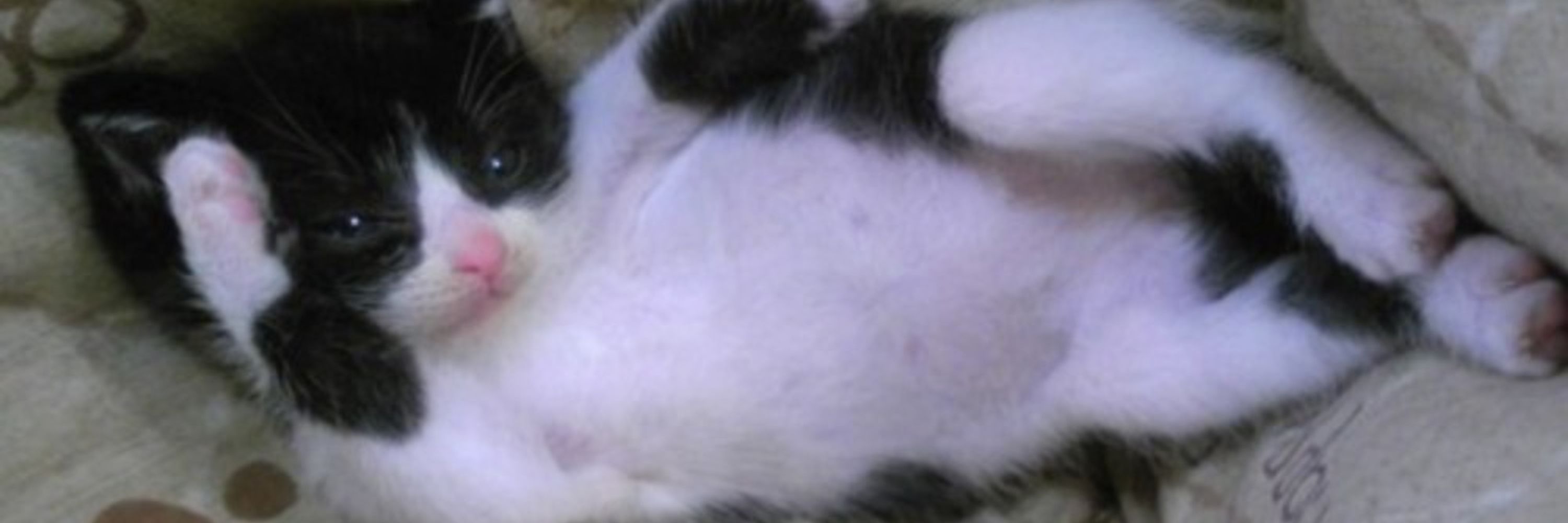 sleepy