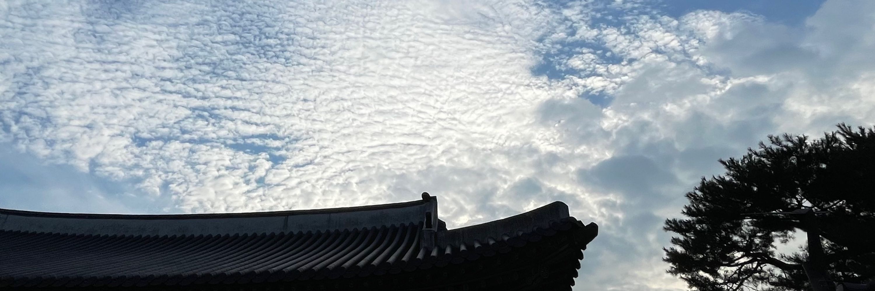 보루 Boru