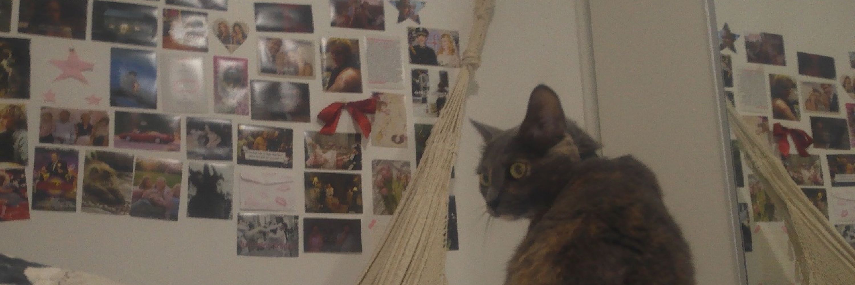 amandita ✿