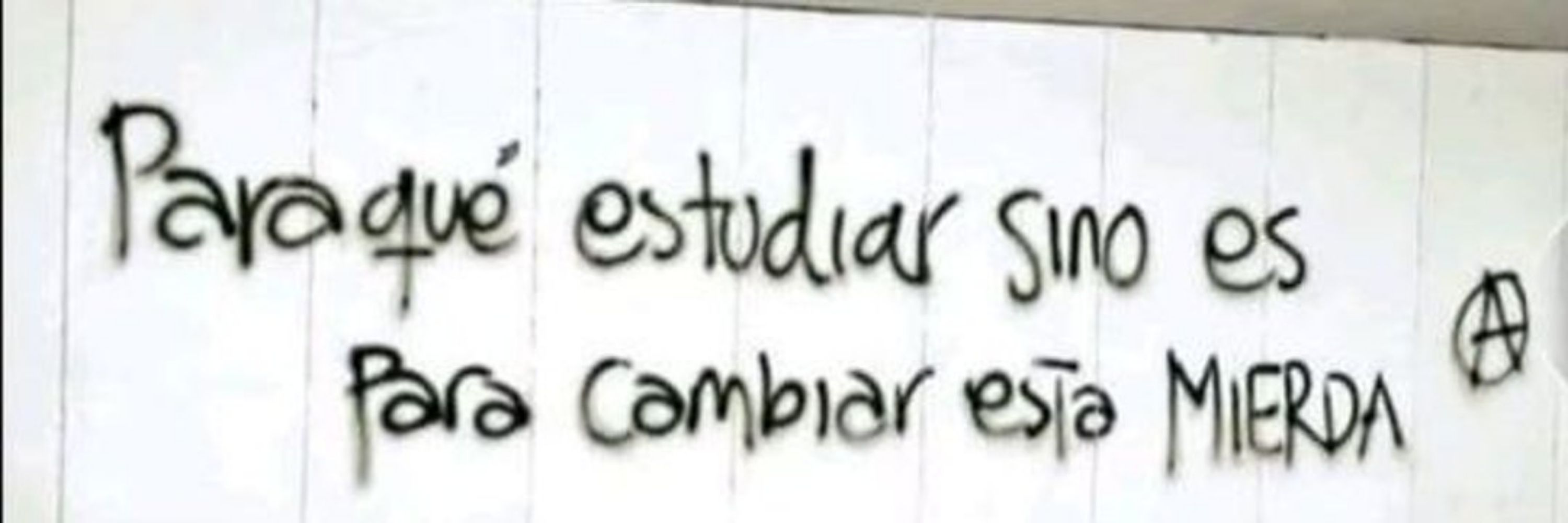 Camis