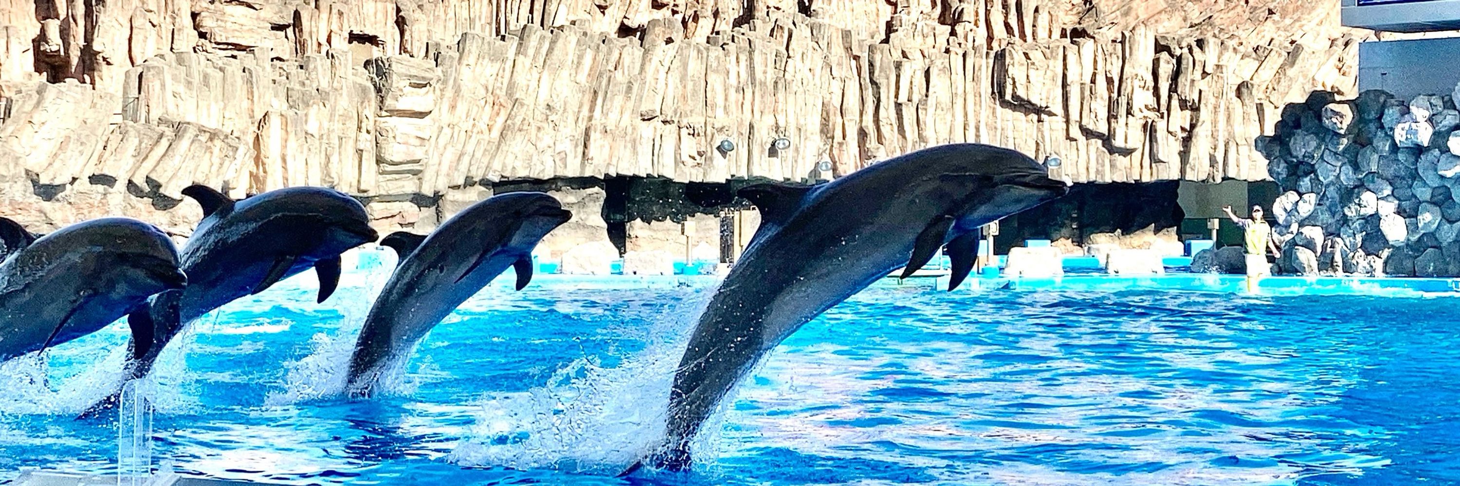 さとし