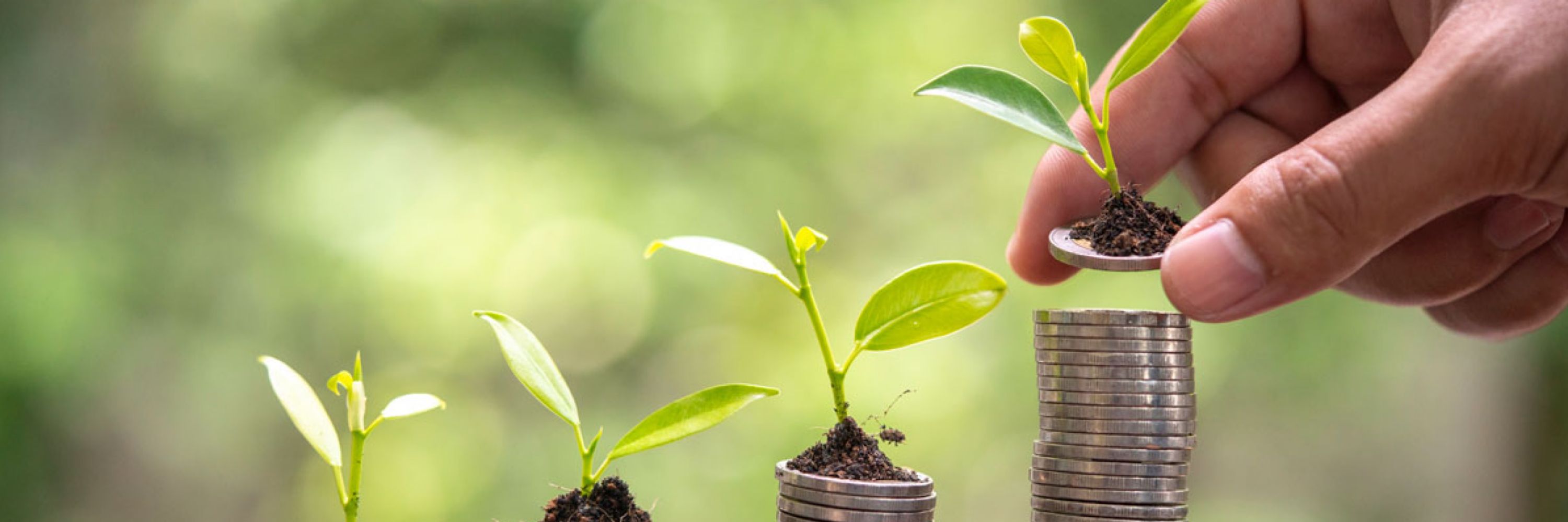 Selander Savings