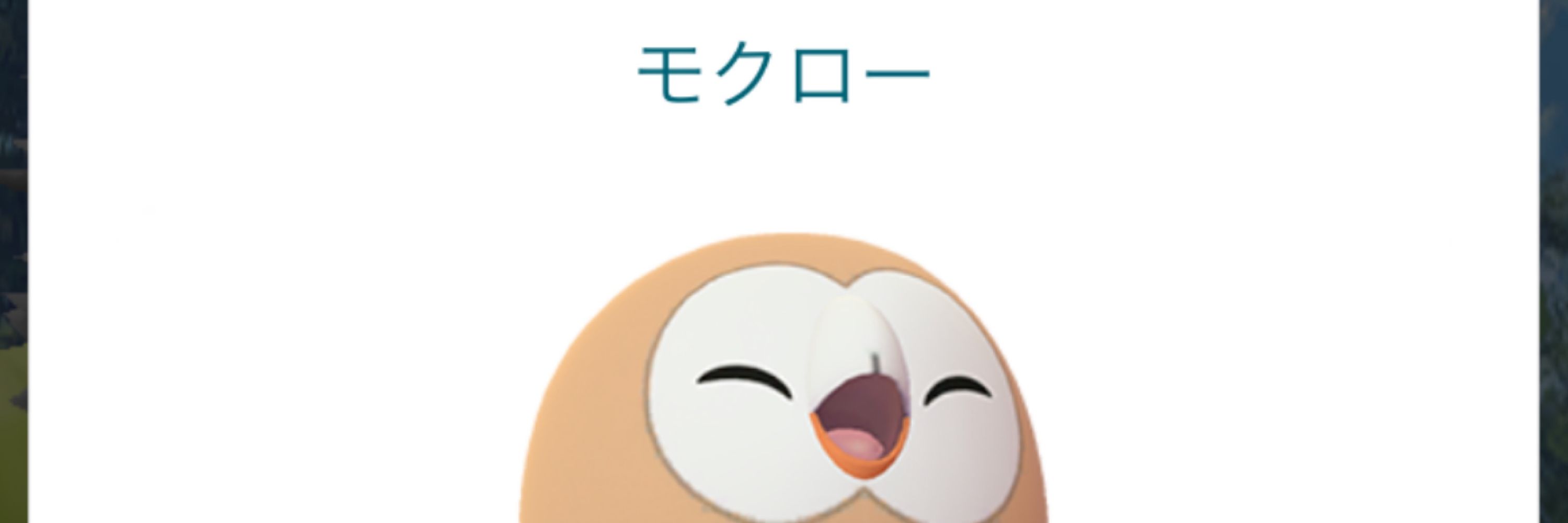 ドルメル