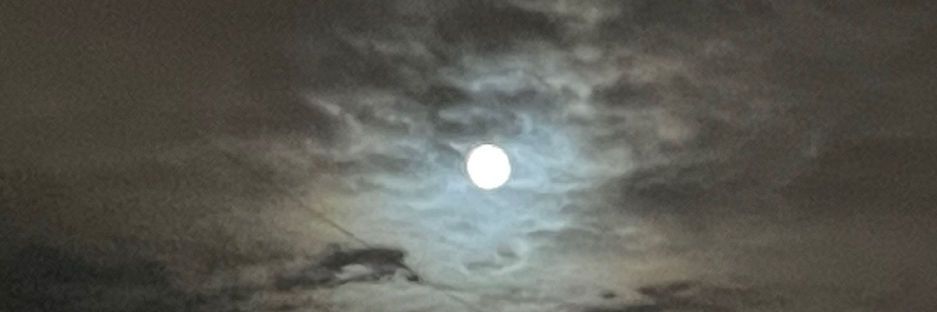 Luna 🪿