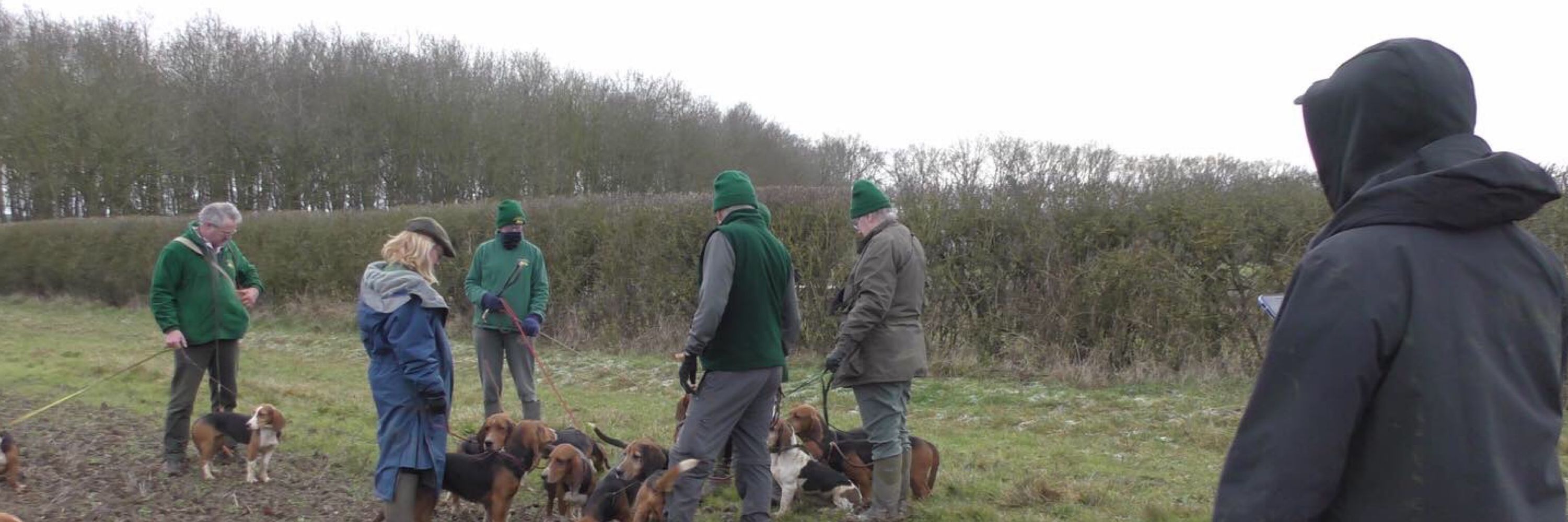 Suffolk and Essex Hunt Sabs
