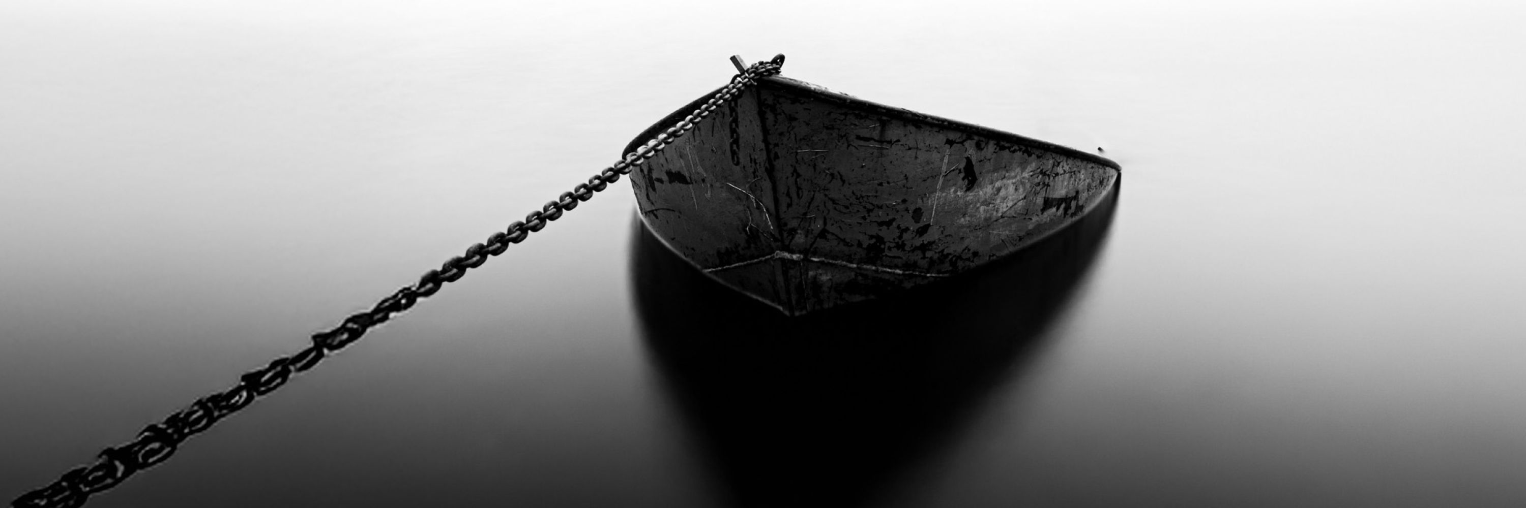 Tom Vogels | BNW Photographer