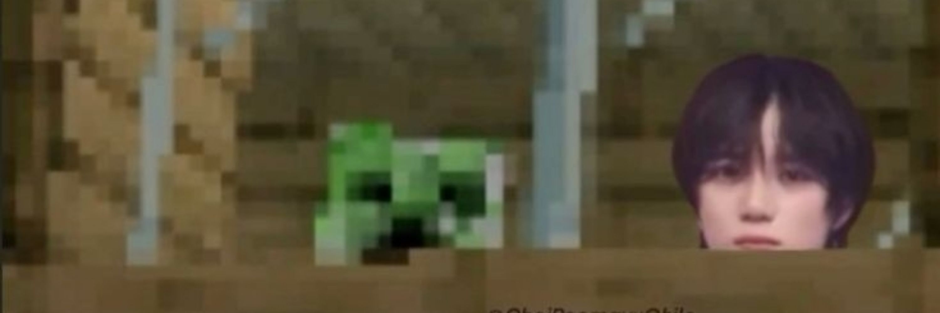 Allpaca3 