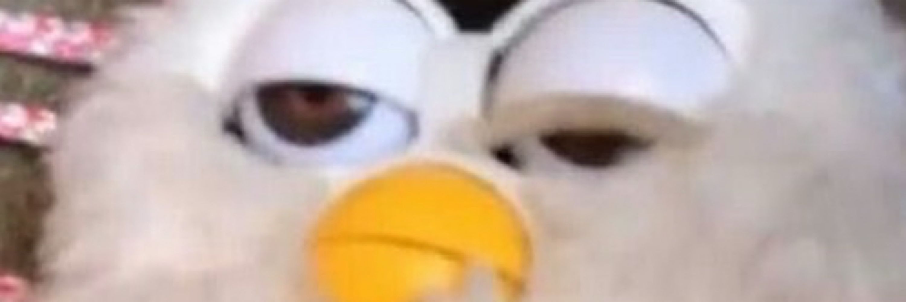 s i m o n e