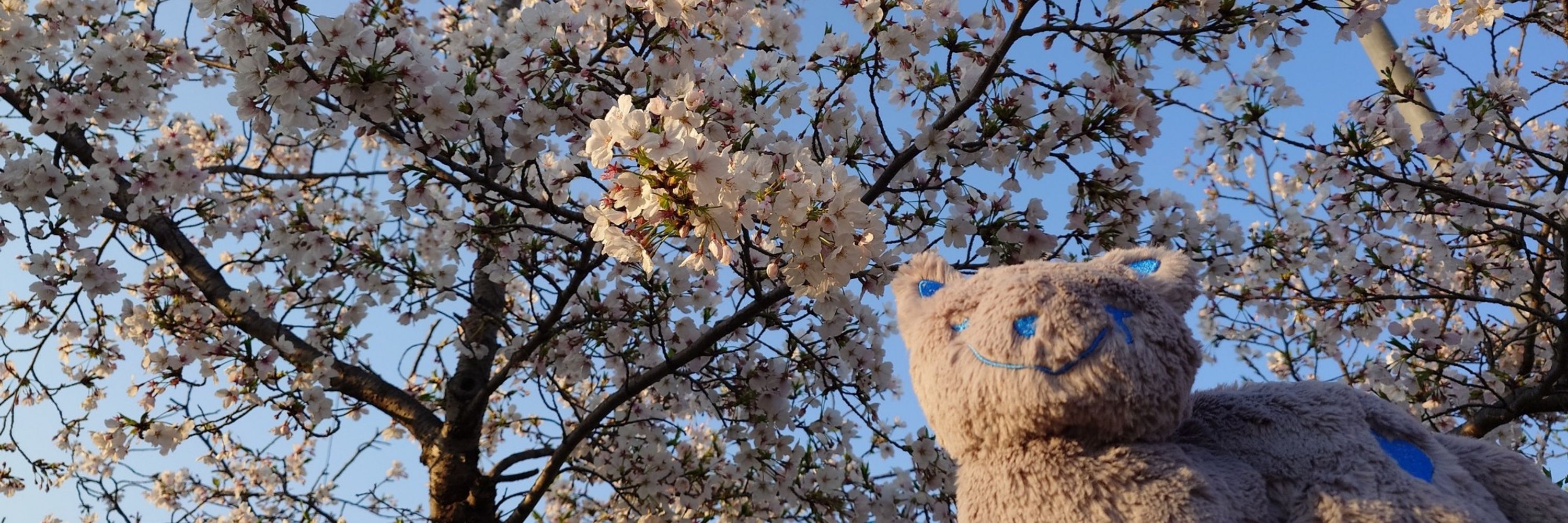 あい。