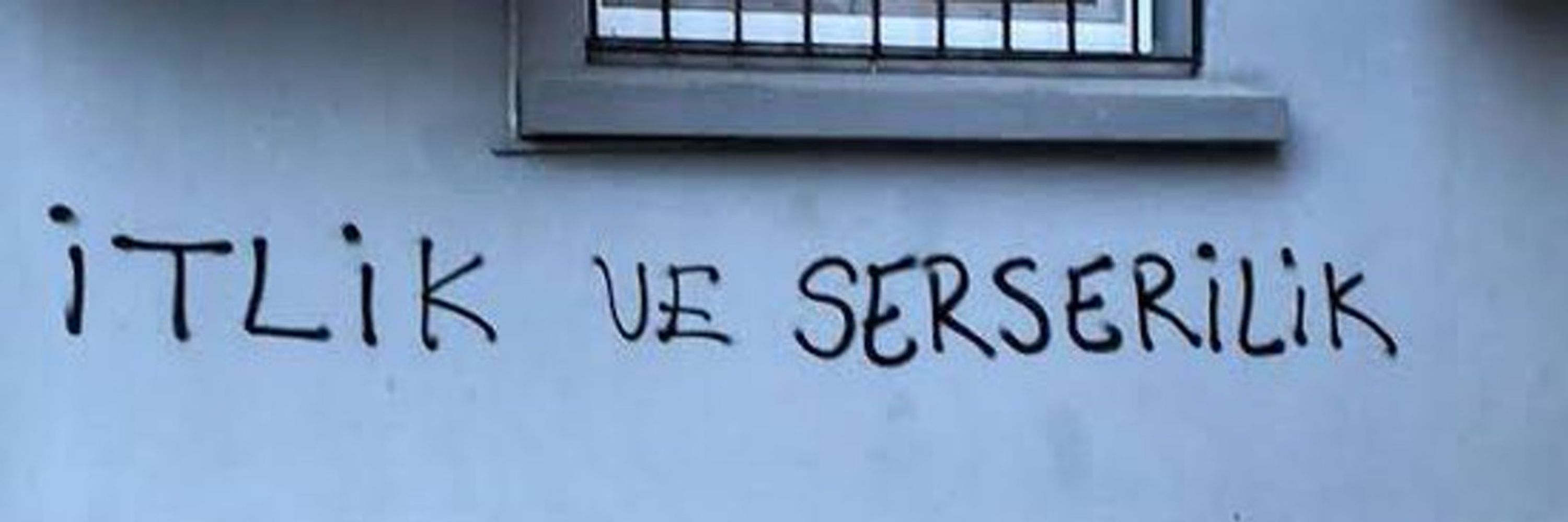 ece balekoglu