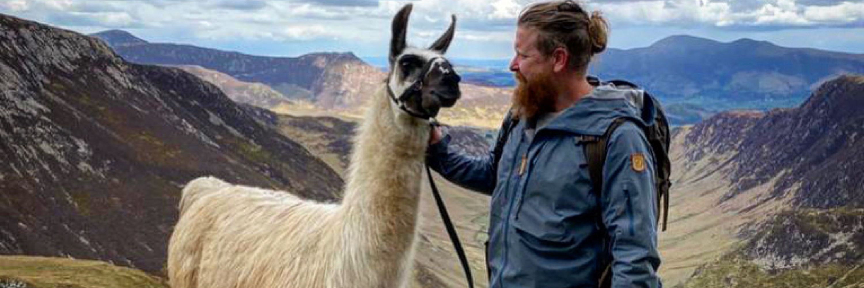 Alpacaly Ever After 🦙