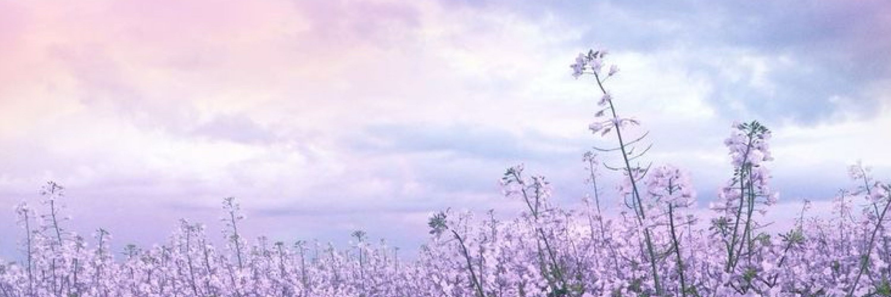 ⋆⁺‧₊☽◯☾₊‧⁺⋆❀𝒞𝒽𝓇𝒾𝓈𝓉𝒾𝓃𝒶°❀⋆.ೃ࿔*✩₊˚.⋆☾⋆⁺₊✧