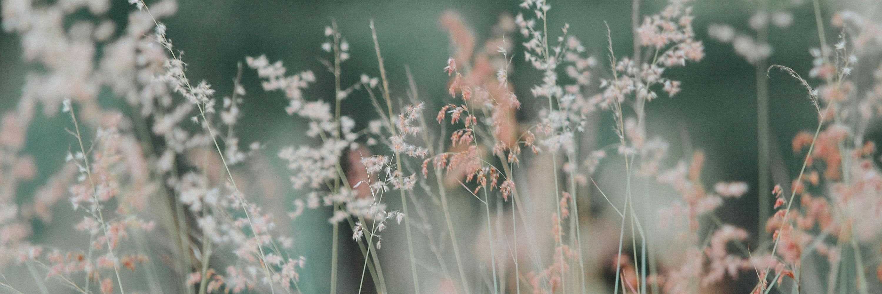 Simplement vivre🌿