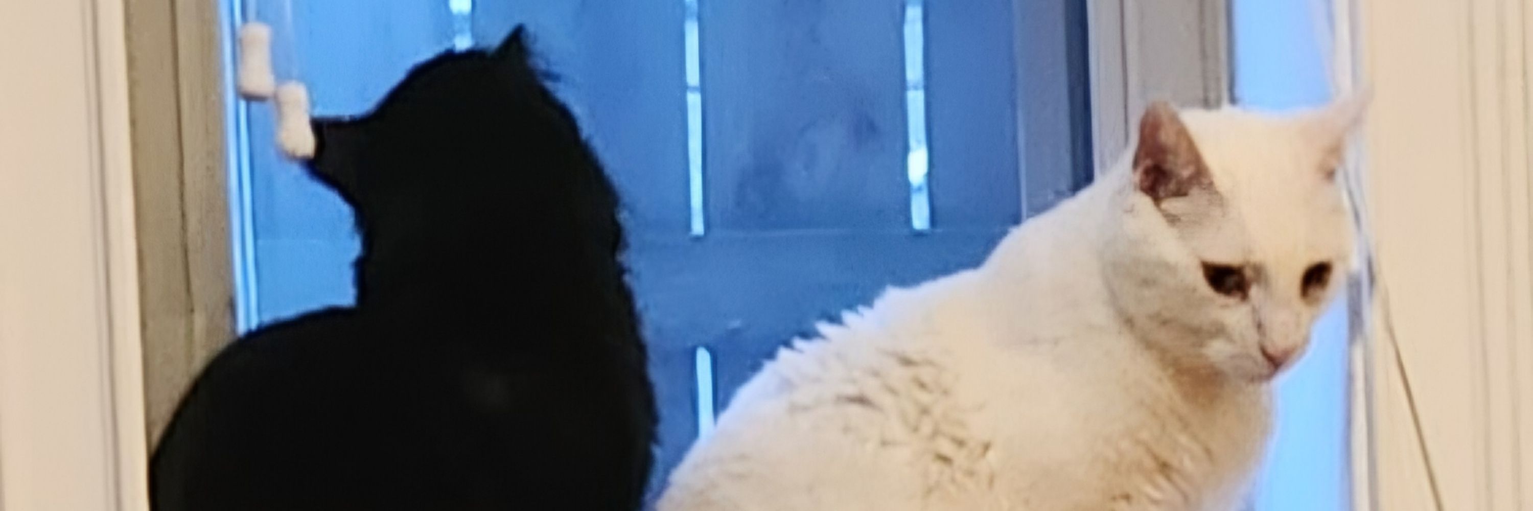 Jim