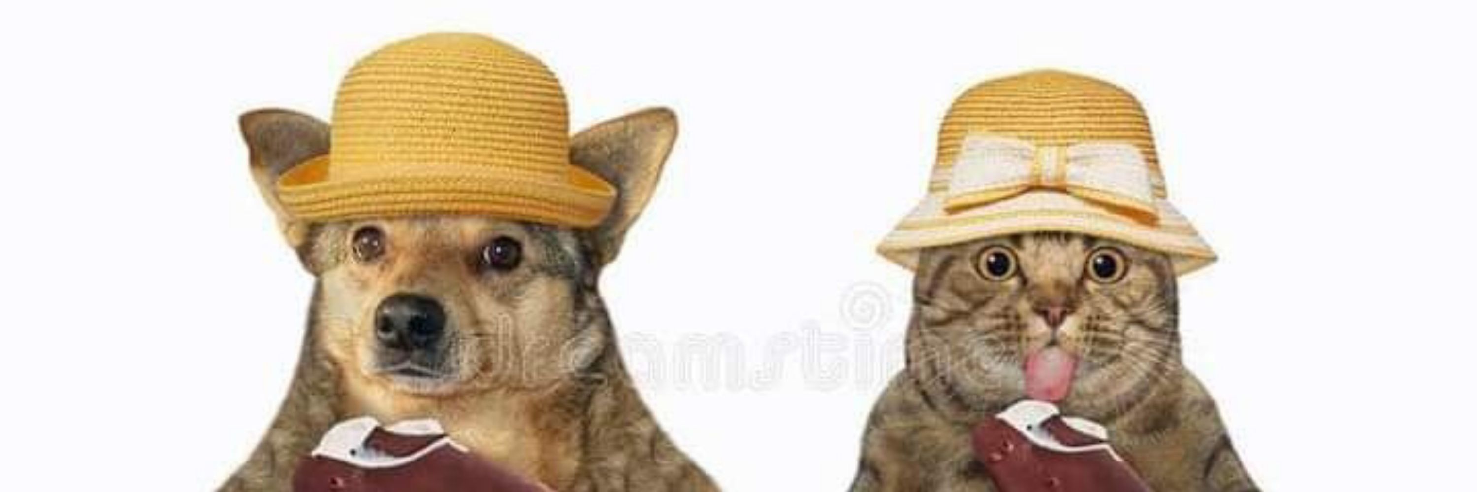 TokiCat