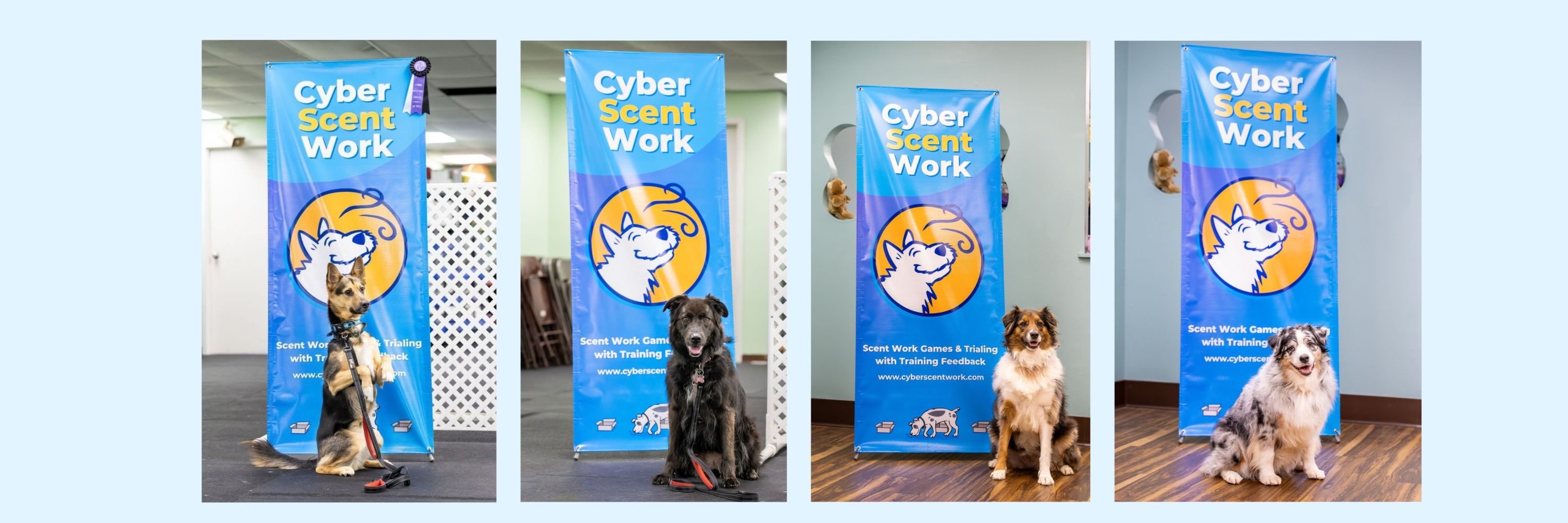 Cyber Scent Work