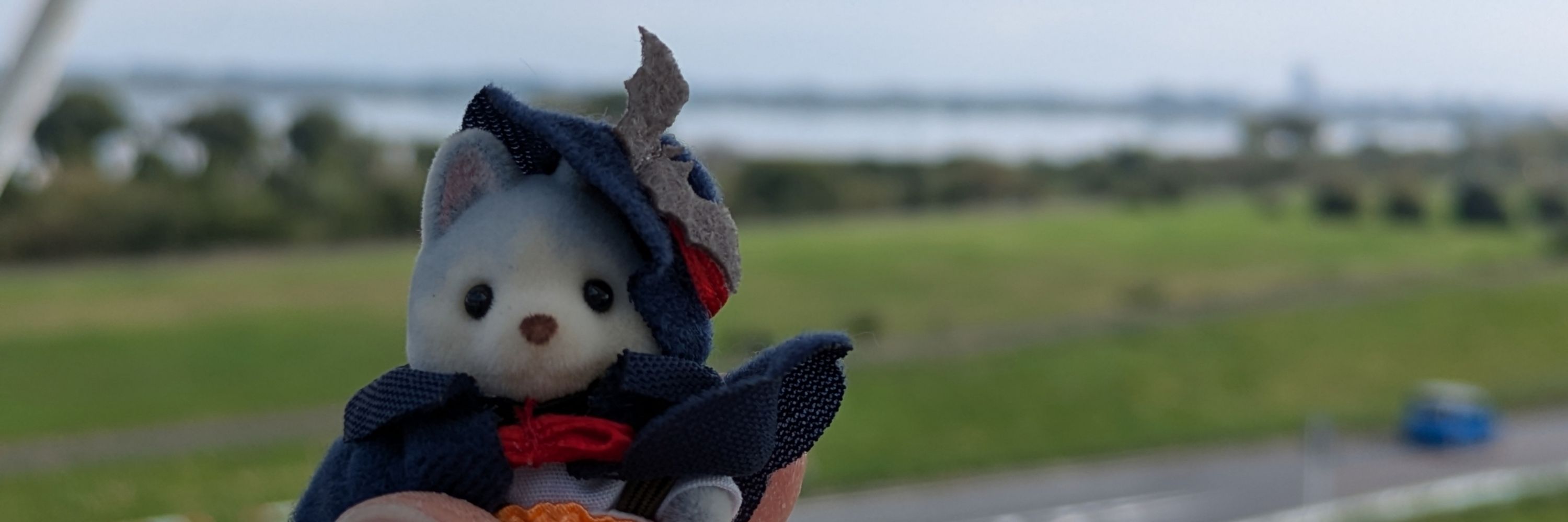 はち。