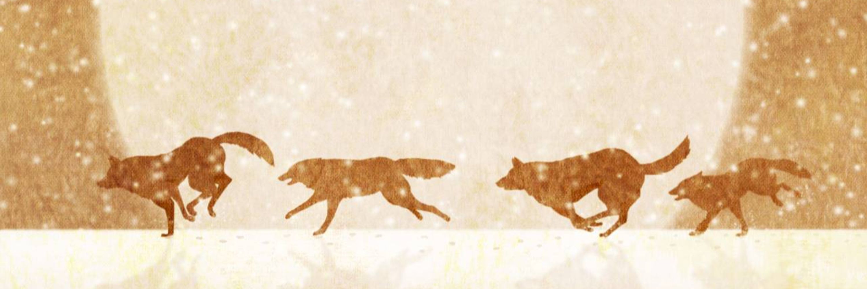 Shiki the Snow Wolf