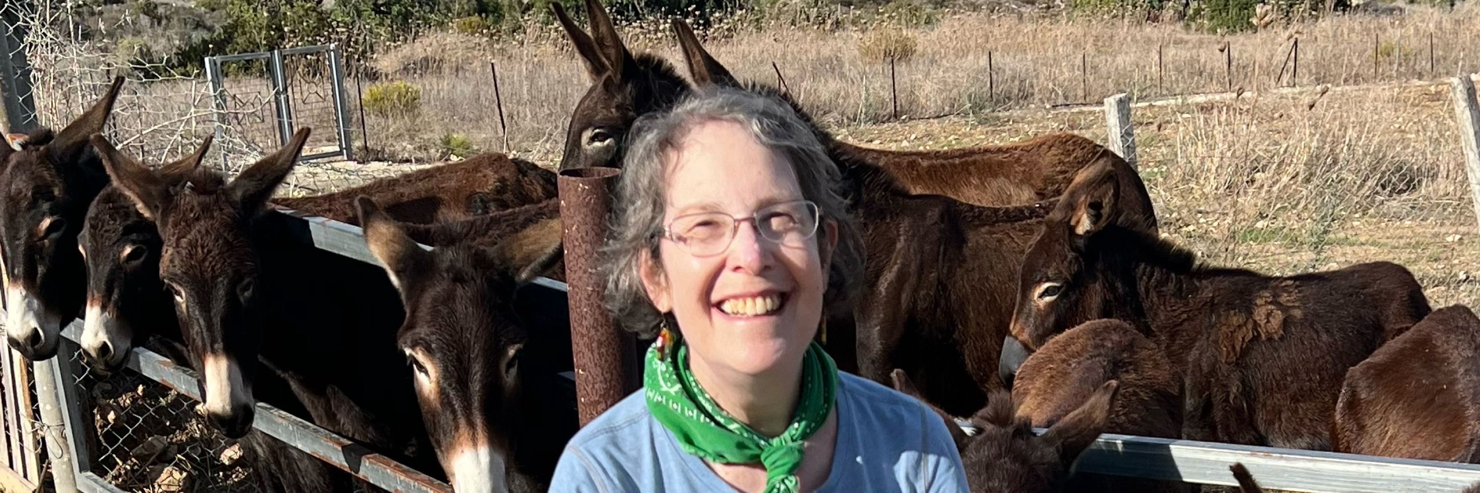 Elisa Braver, PhD