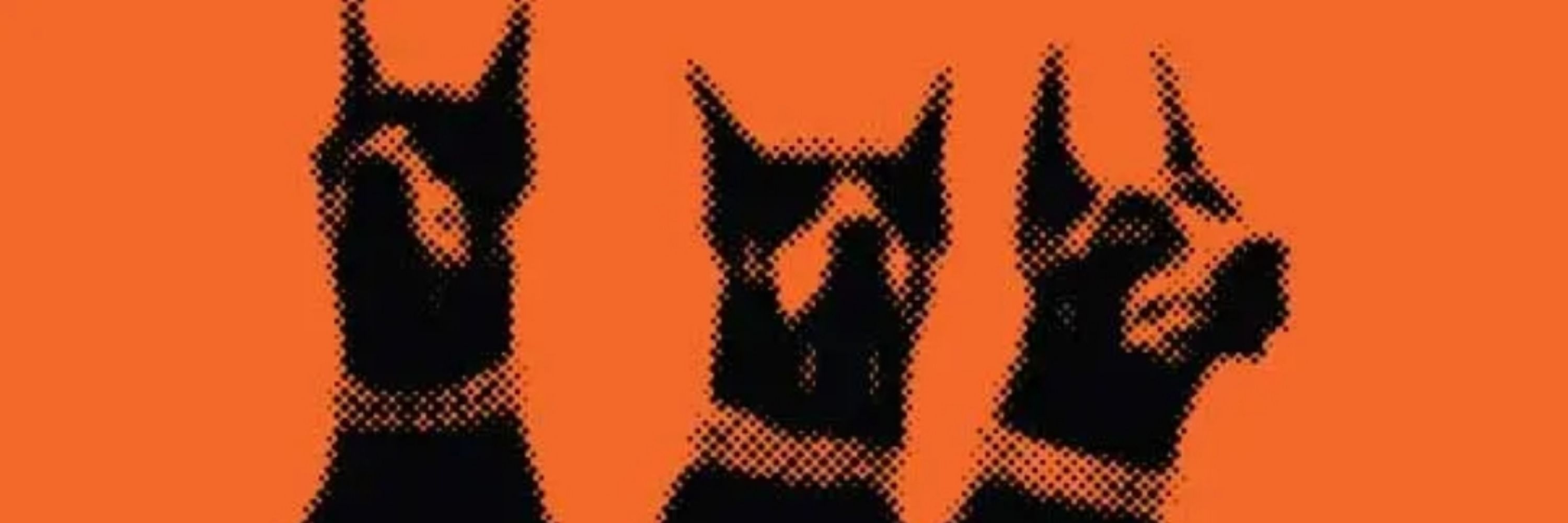 Ox