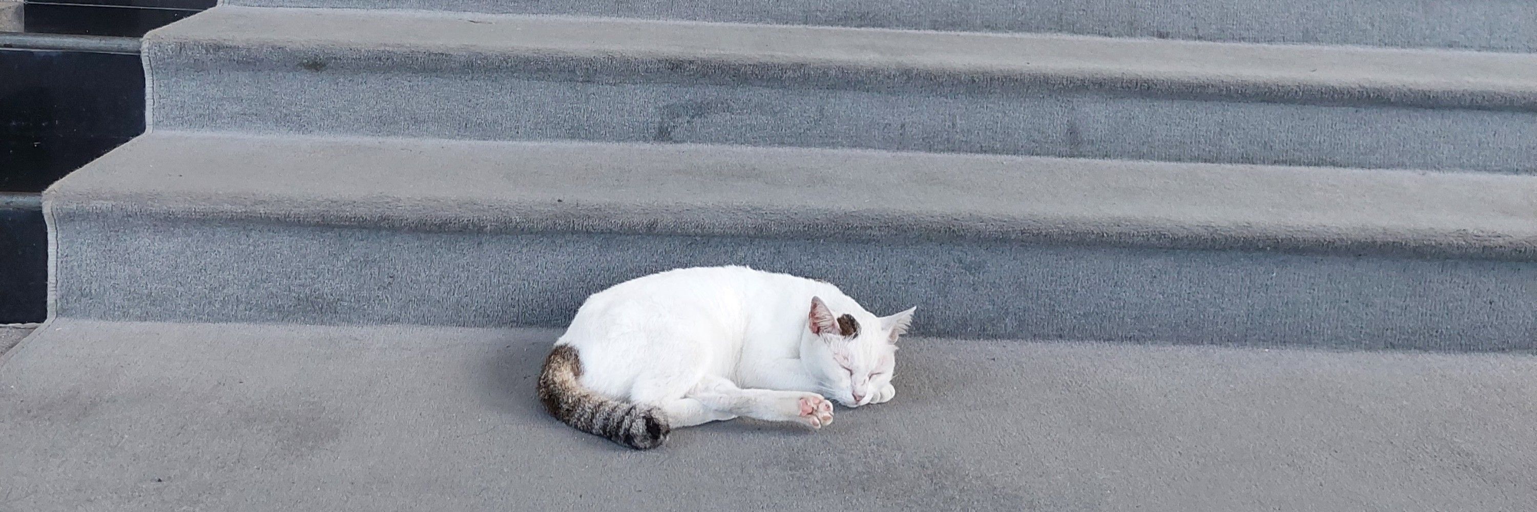 ほたきん 🇹🇭
