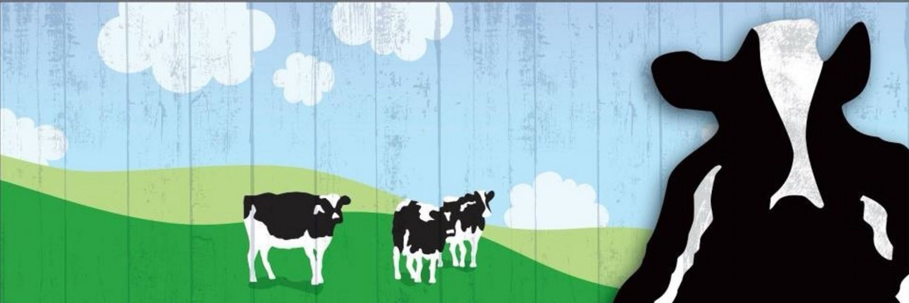 Ben and Jerrys UK 🐮