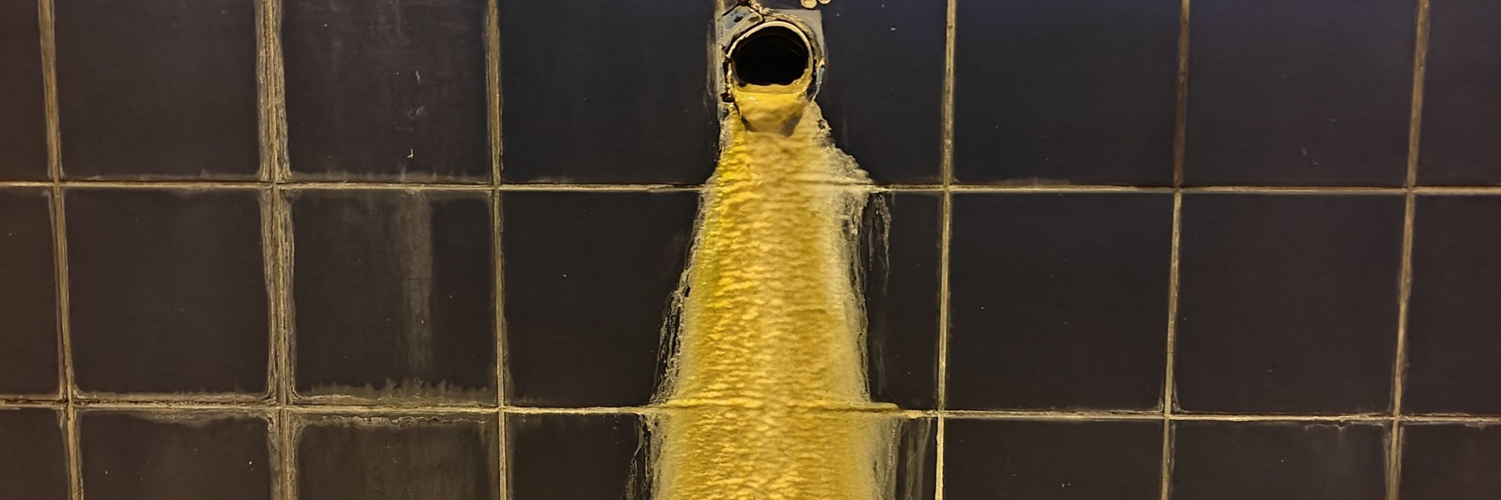 Mimuycali