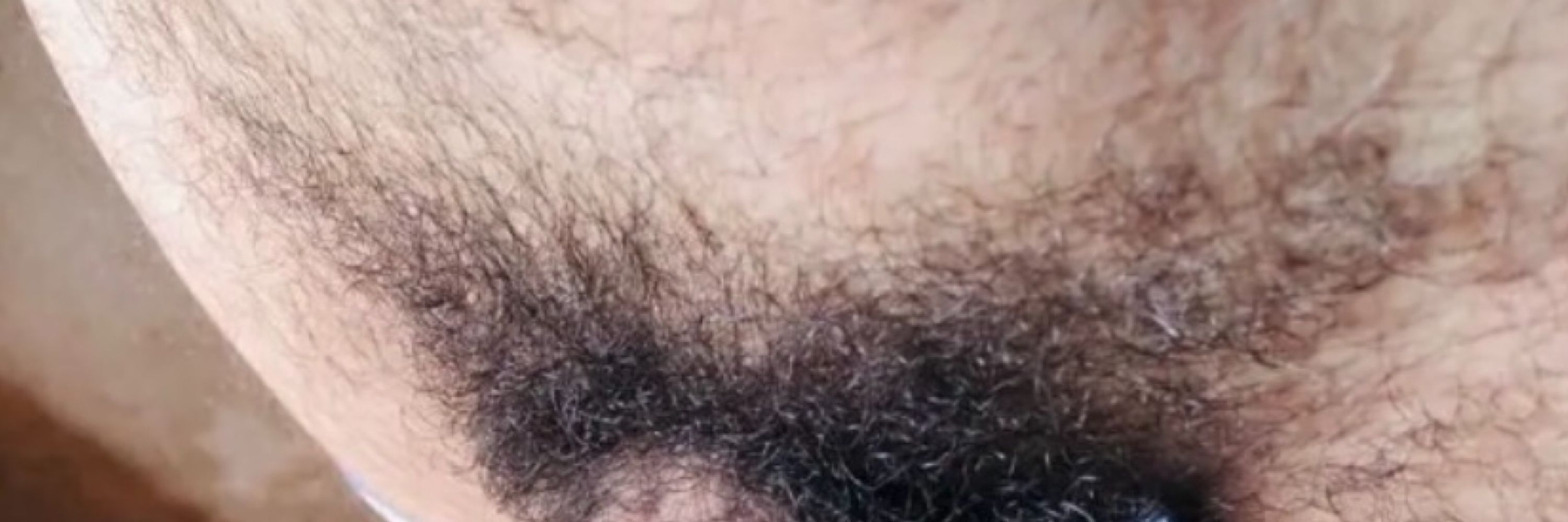 MACHO88