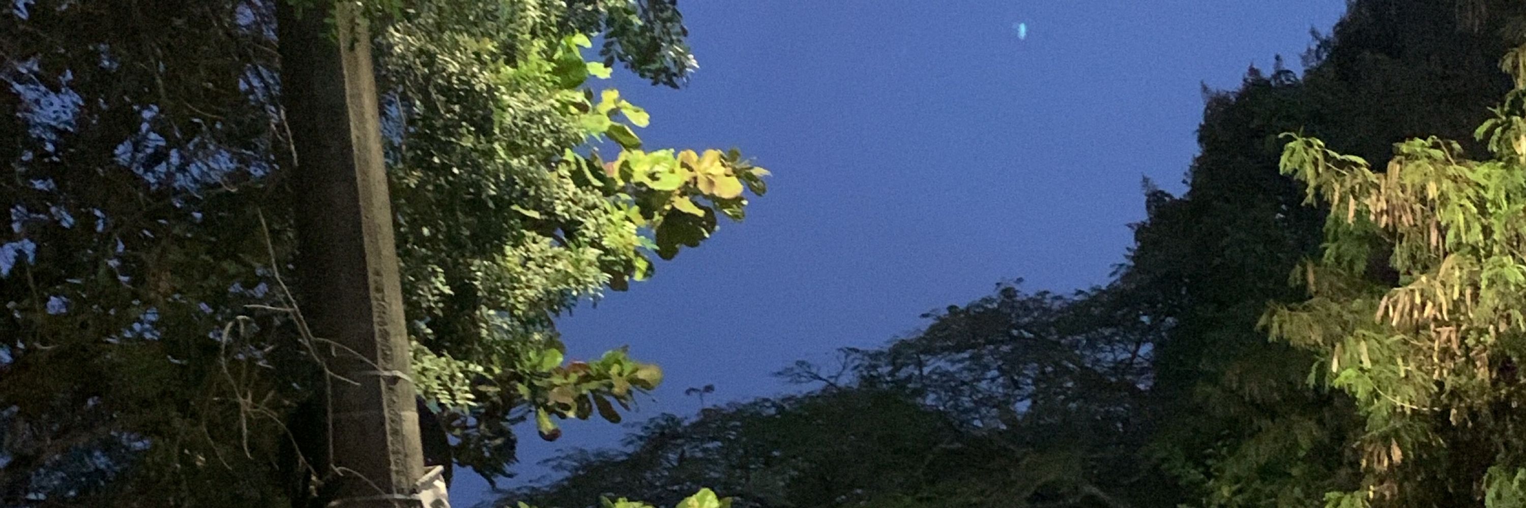Isa 