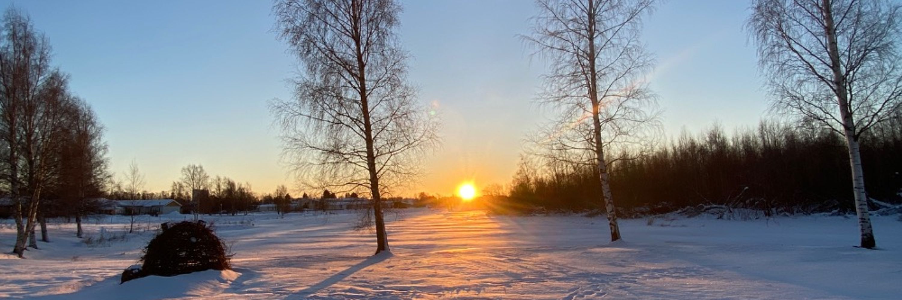 Matti Perkkiö