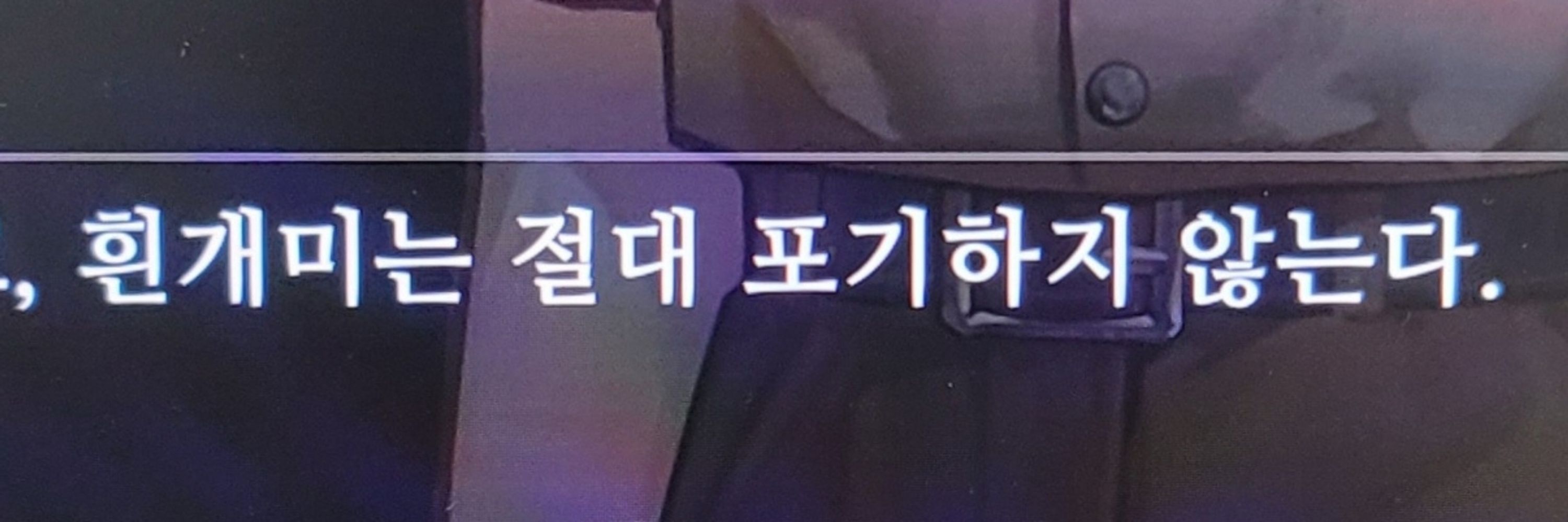 흰개미