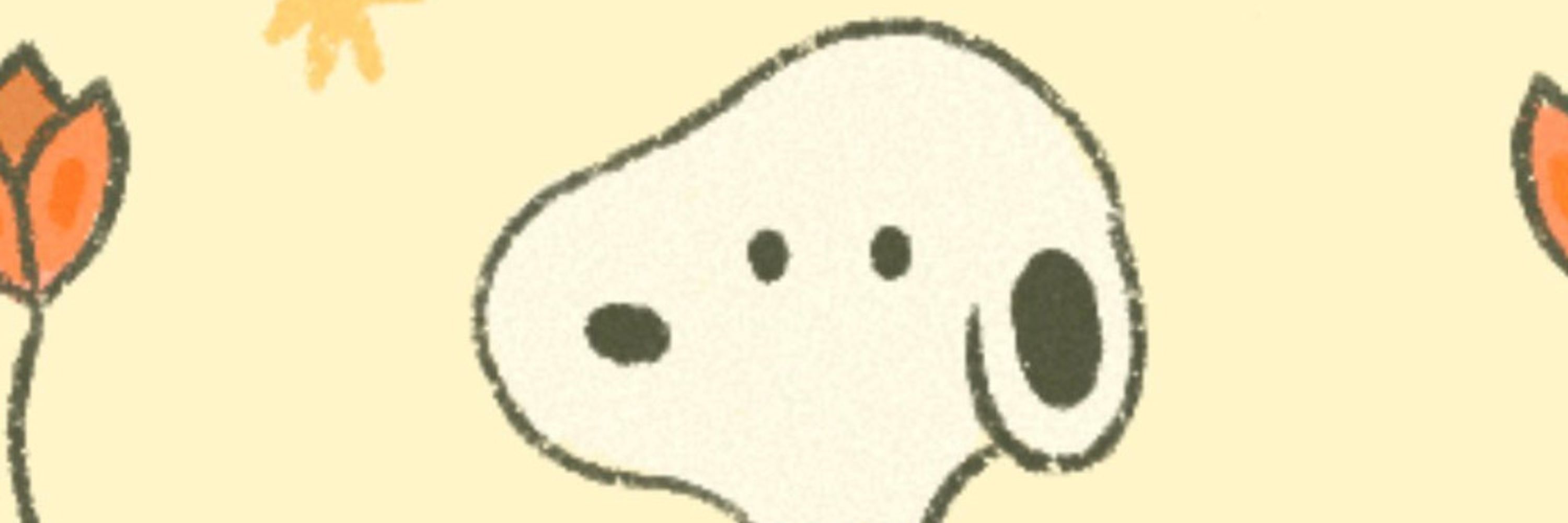 Tooki