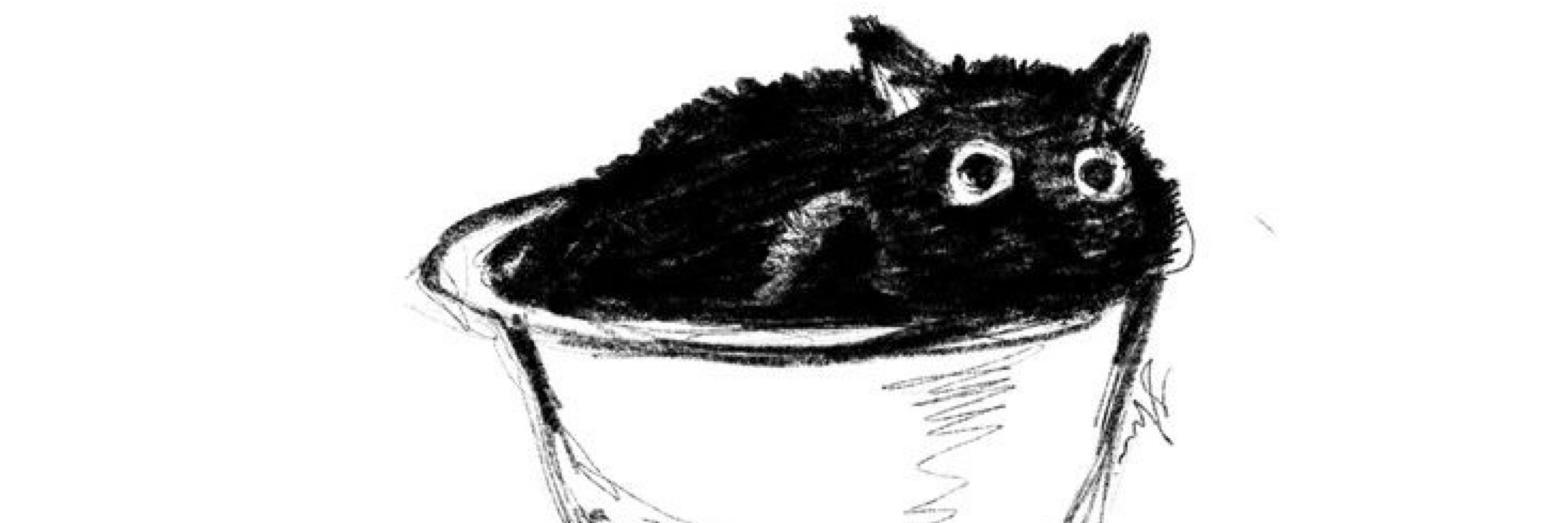 Rint