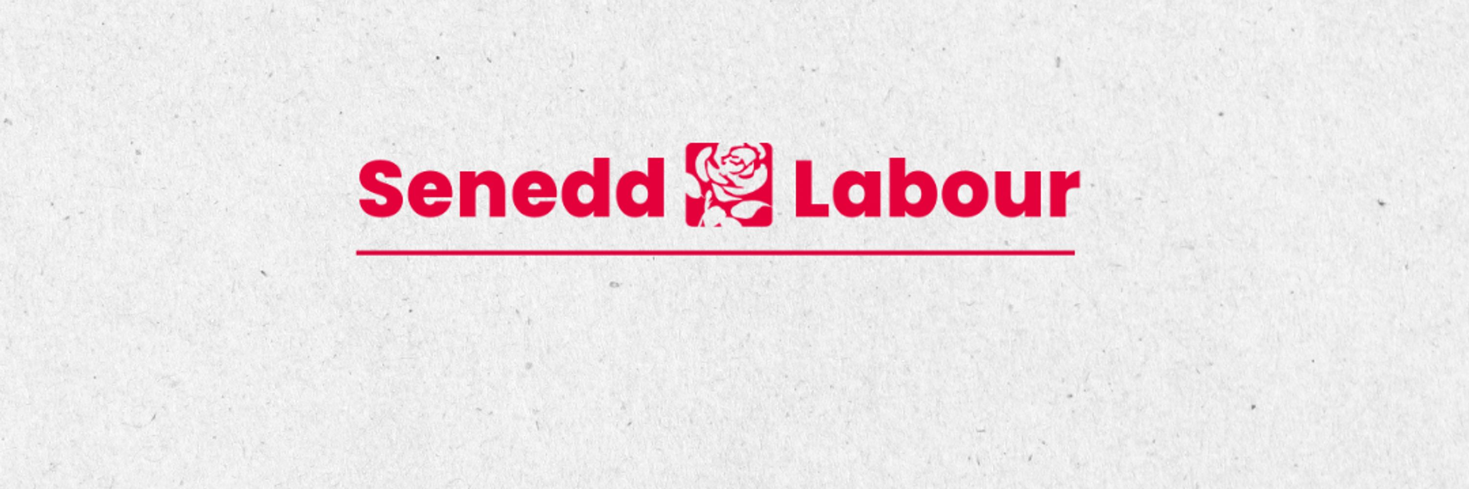 Senedd Labour Group 🌹
