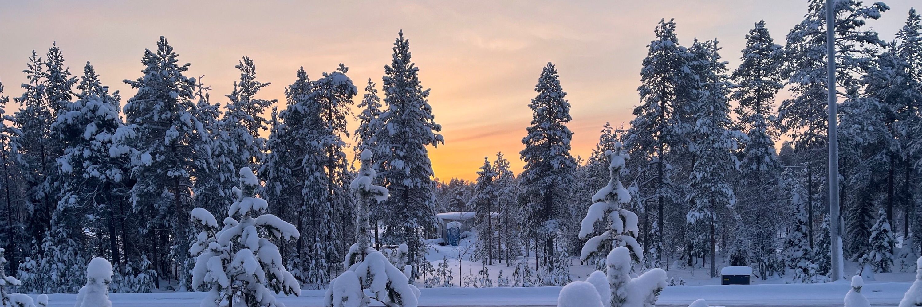 Outi Toropainen 🇫🇮