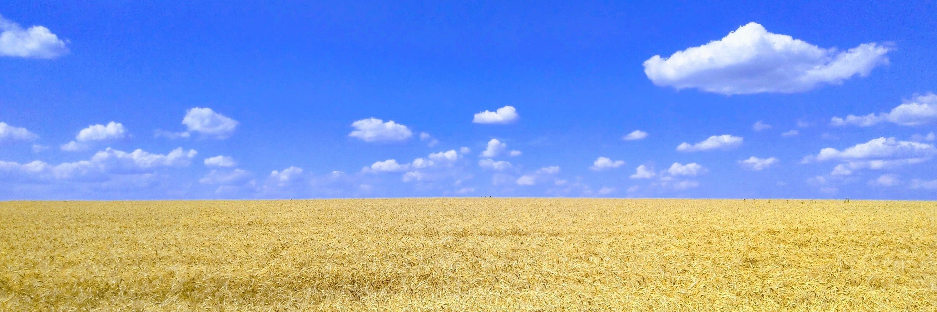 𝐒𝐞𝐫𝐡𝐢𝐲