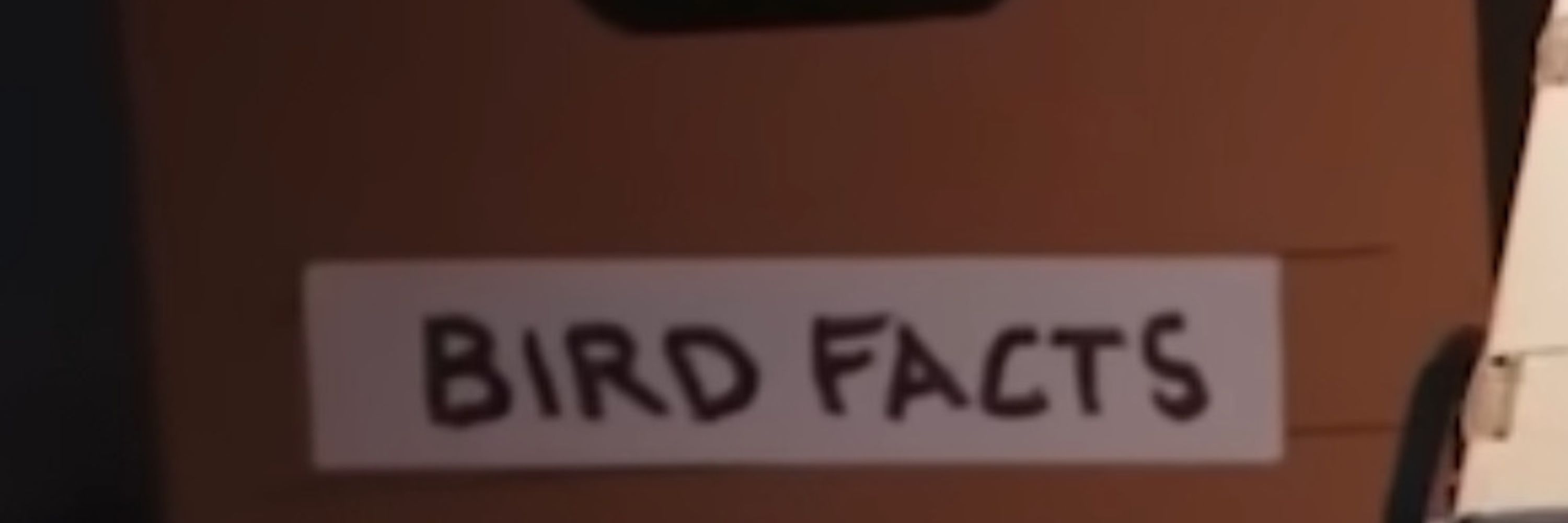 Sad Gay Bird