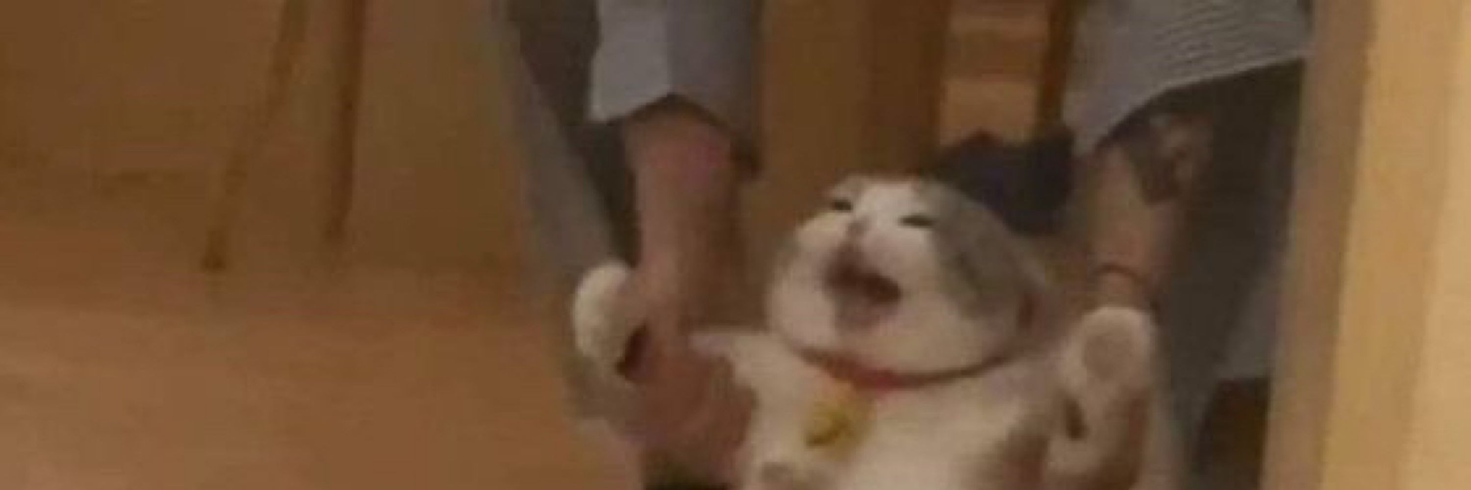 한을