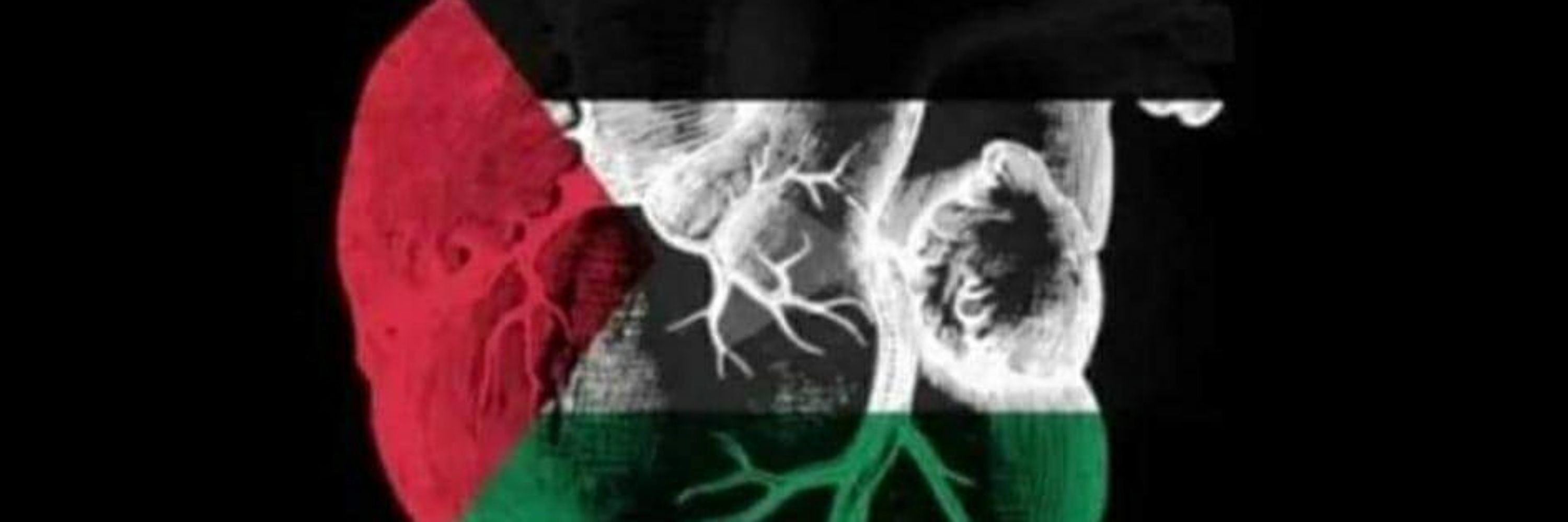 Ahmad Nawaf 🇵🇸✌️
