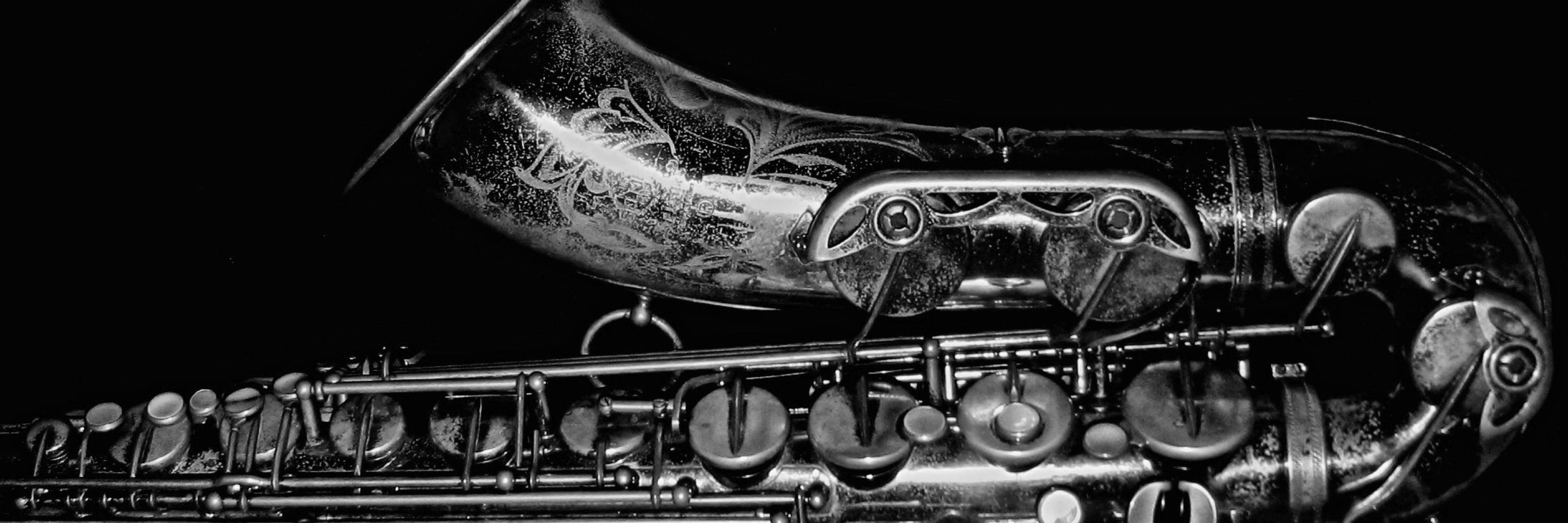 PDX SAX 🐎 🌈 🕊️ 🚍 🥑📎 ✊ 🌐 ↙↙↙ 🌊