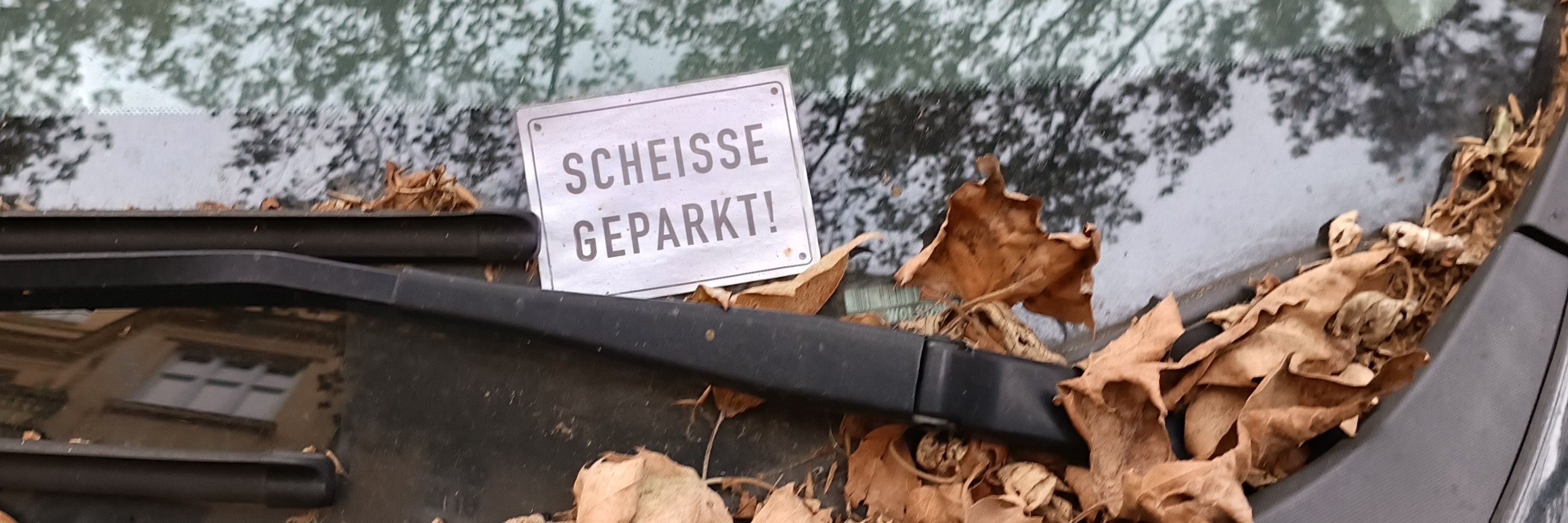 Flatschaffe