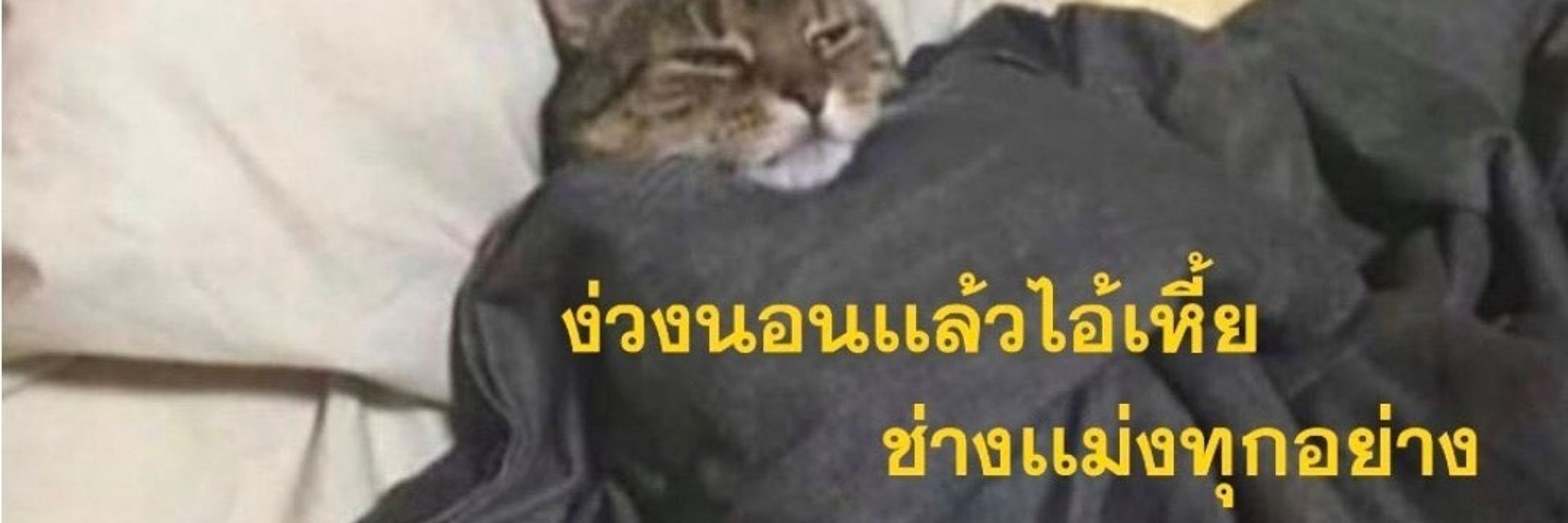 รับงานสมุทรปราการ Natty