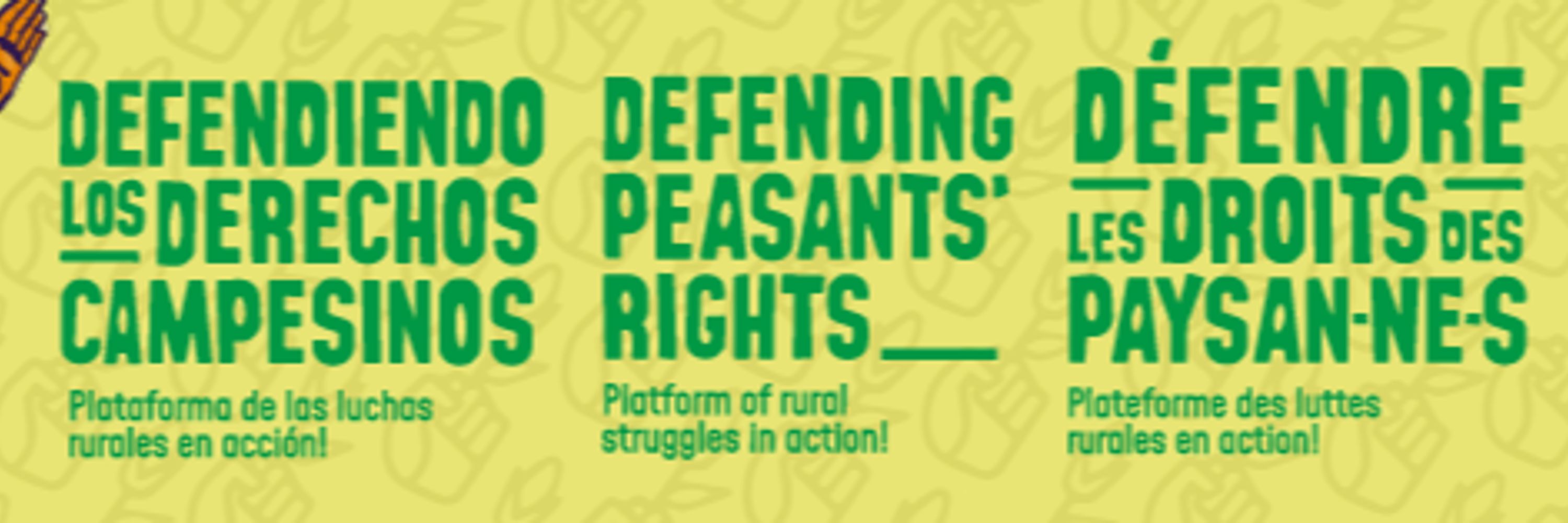 Defending Peasants' Rights