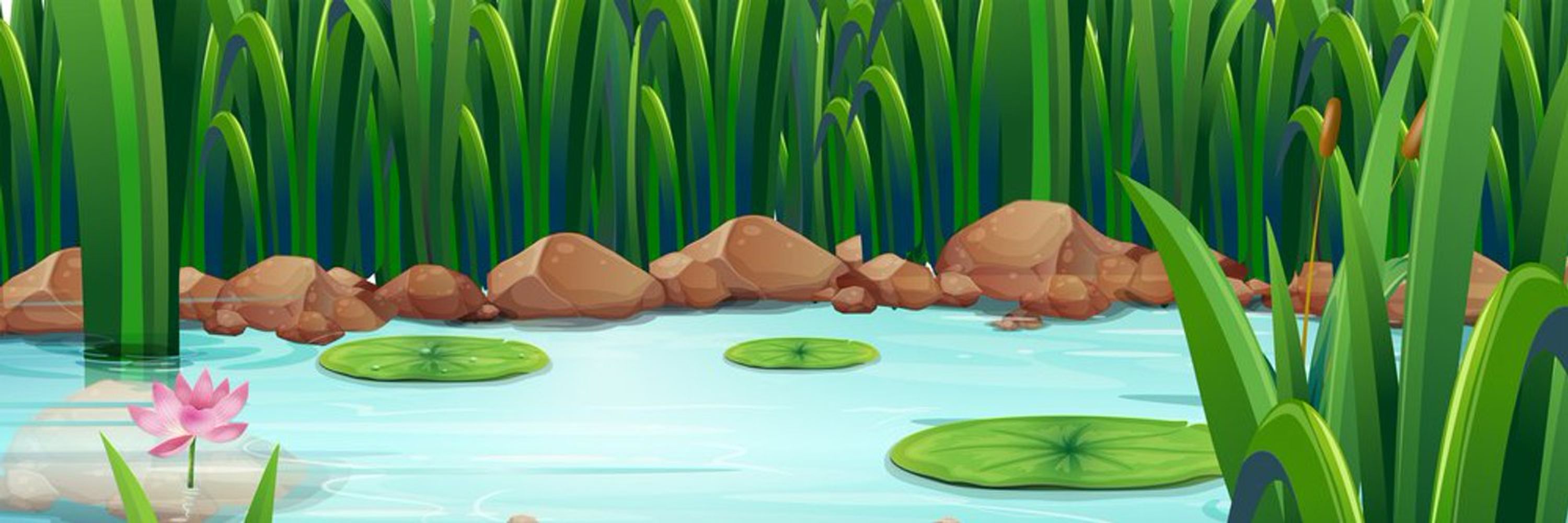 FrogHouseDojo