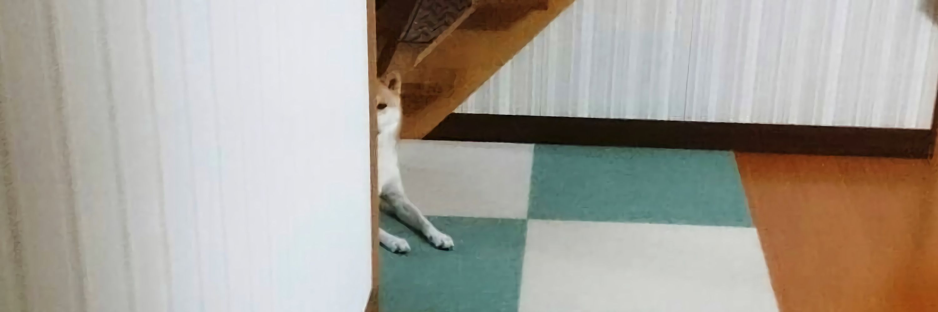 ﾒｰﾍﾞ